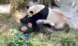 美国饲养员爆料新闻视频,视频曝光惊人内幕