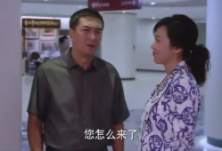 电视剧一主二仆在线观看,权谋与忠诚的宫廷较量