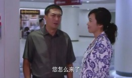 电视剧一主二仆在线观看,权谋与忠诚的宫廷较量