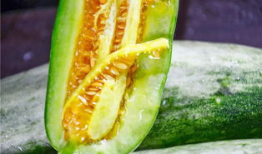 吃瓜香的网红有哪些,盘点吃瓜界的网红达人