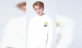 圈内人士爆料毕雯珺视频,圈内人士揭秘背后真相