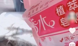 生日视频爆料怎么做好看,打造惊艳视觉盛宴