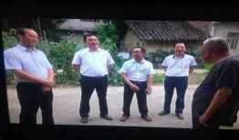 洋县新闻事件爆料,揭秘背后真相与影响