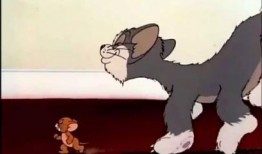 老板爆料杰瑞视频播放全集,杰瑞视频全集播放，精彩内容一网打尽！