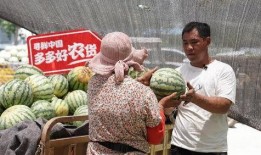 农村姑娘吃网红瓜图片,新鲜体验引发热议