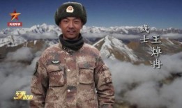 张新伟事件爆料视频,揭秘背后惊人真相，视频爆料引发社会热议