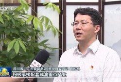 中央新闻爆料资中,真相与影响深度剖析