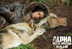 法国电影狼在线观看,法国惊悚电影，在线惊悚体验