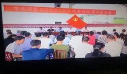 洋县新闻事件爆料,揭秘背后真相与影响