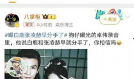 爆料猛料白鹿视频下载,独家爆料带你一探究竟