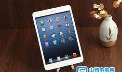 国产迷你平板最新爆料,性能升级，设计革新，引领便携新潮流