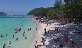 青青珊瑚岛在线观看,在线观看，探寻神秘海岛传奇之旅