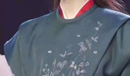 南阳二胶厂爆料视频曝光,南阳二胶厂爆料视频揭露惊人内幕