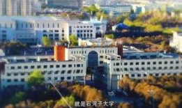 石河子大学爆料视频最新,揭秘校园内幕与真实情况
