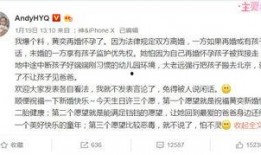 黄毅清爆料生孩子视频,揭秘娱乐圈背后的惊人真相