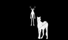 鹿晗漫画爆料视频,揭秘明星幕后生活