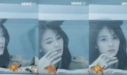 白鹿技能爆料视频大全,全方位解析全新技能亮点