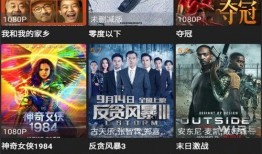 阿罗汉爆料截屏视频下载,下载背后的惊人真相