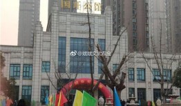 西亚烂尾楼爆料视频,视频曝光背后的建筑困境与反思