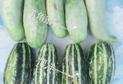 吃瓜香的网红有哪些,盘点吃瓜界的网红达人