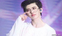 歌手蔡某某爆料了吗视频,揭秘娱乐圈背后真相