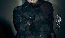 黑皮书 电影在线观看,揭秘电影背后的惊悚与悬疑