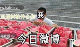 最新的爆料吃瓜群众视频,最新吃瓜群众视频爆料，真相令人震惊！