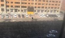 白城帝王大厦爆料视频