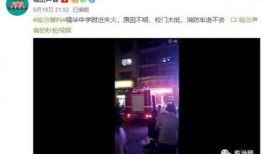 商城学校爆料视频最新,揭秘校园生活精彩瞬间