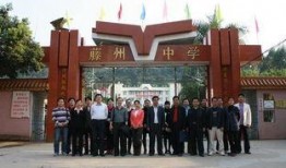 广西梧州藤县新闻爆料,突发事件引发关注，详情即将揭晓