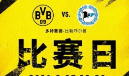 今日爆料者联盟解析最新,最新动态深度解析