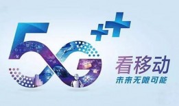 今日农村爆料新闻网络版,网络版新闻揭示乡村新动态