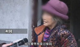 牛爱芳爆料视频,揭秘惊人内幕，引发社会热议