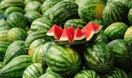 青海网红吃瓜事件真相视频,揭秘背后真相与争议