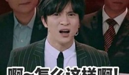 黄牛爆料薛之谦视频完整版,薛之谦视频完整版幕后真相大揭秘