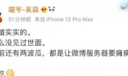 圈内人爆料文章,揭秘文章背后的惊人真相