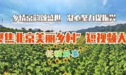 美丽乡村爆料视频