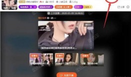 爆料广州主播视频播放软件,揭秘热门直播平台背后的秘密