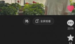 爆料董宇辉最新视频下载,揭秘背后故事与精彩瞬间