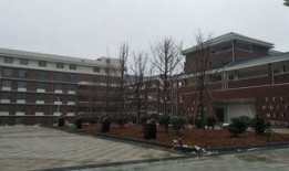 临湘一中最新爆料,揭秘校园风云，探寻教育新篇章”