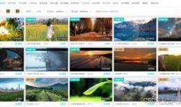 视频爆料素材,一窥事件背后真相