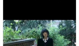 刘大锤爆料叶柯原视频,真相大白！