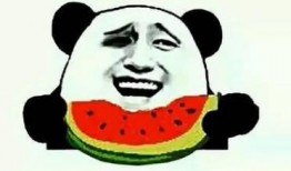 娱乐吃瓜酱可爱