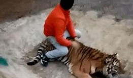 美国饲养员爆料新闻视频,视频曝光惊人内幕