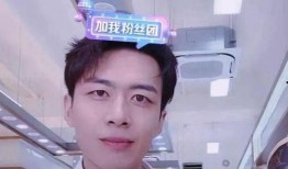 陈律和朋友爆料视频大全,幕后真相全解析