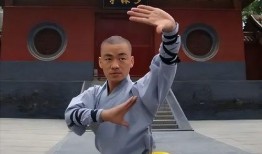 宝强哥最新爆料视频大全,揭秘娱乐圈幕后真相