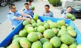 新沂网红吃瓜群微信号,揭秘当地热门话题，带你领略新沂网络文化风采”