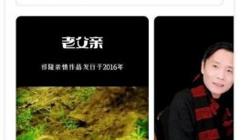 乐凡的爆料录音视频在哪看,揭秘事件真相