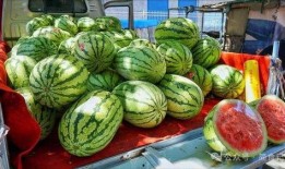 青海网红吃瓜事件真相视频,揭秘背后真相与争议