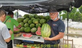 东北网红吃瓜是谁,网络红人的崛起与影响力